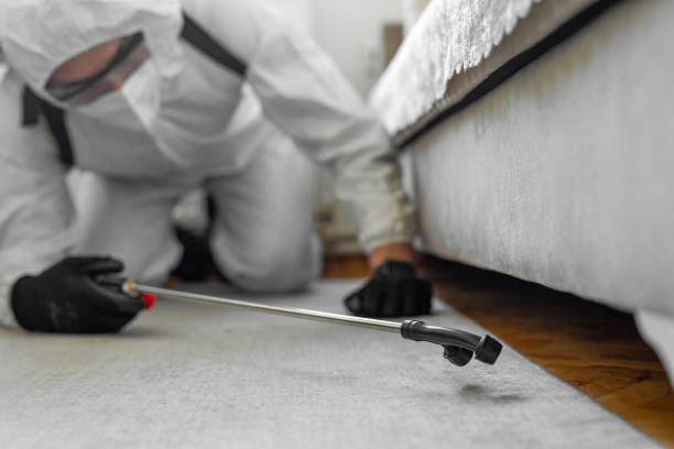 Professional Bed Bug Control technician working in Renville, MN